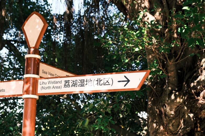 Beyond Tokenism: What’s the Real Business Case for Bilingual Signage?